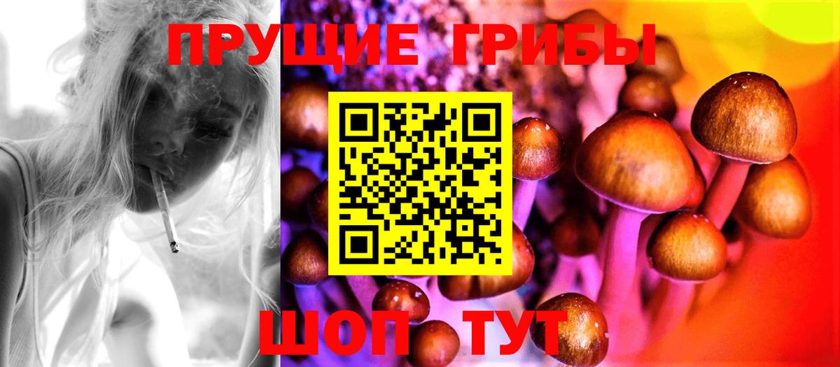 Псилоцибиновые грибы мицелий  Галлюциногенные грибы GOLDEN TEACHER  Вход с VPN  Истра 